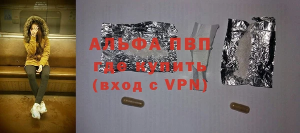 гашик Алексин