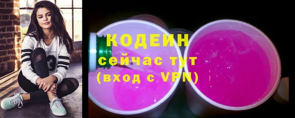 гашик Алексин