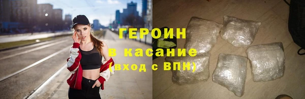 гашик Алексин
