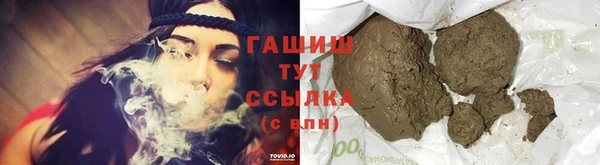 гашик Алексин