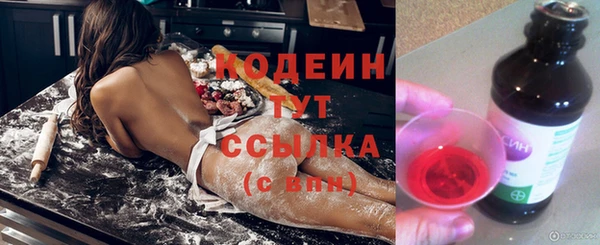 гашик Алексин