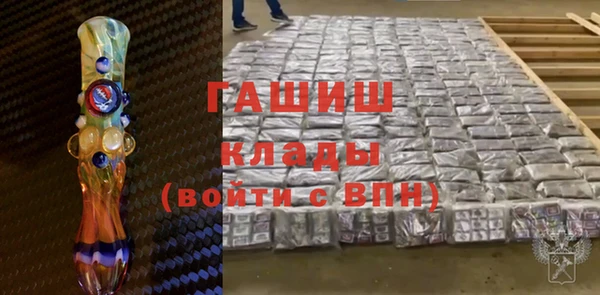 гашик Алексин