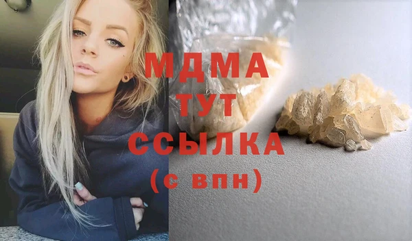 гашик Алексин