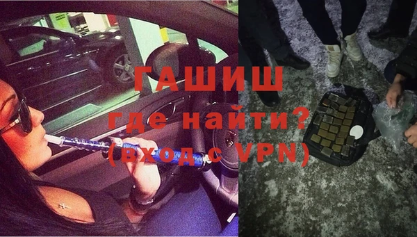 гашик Алексин